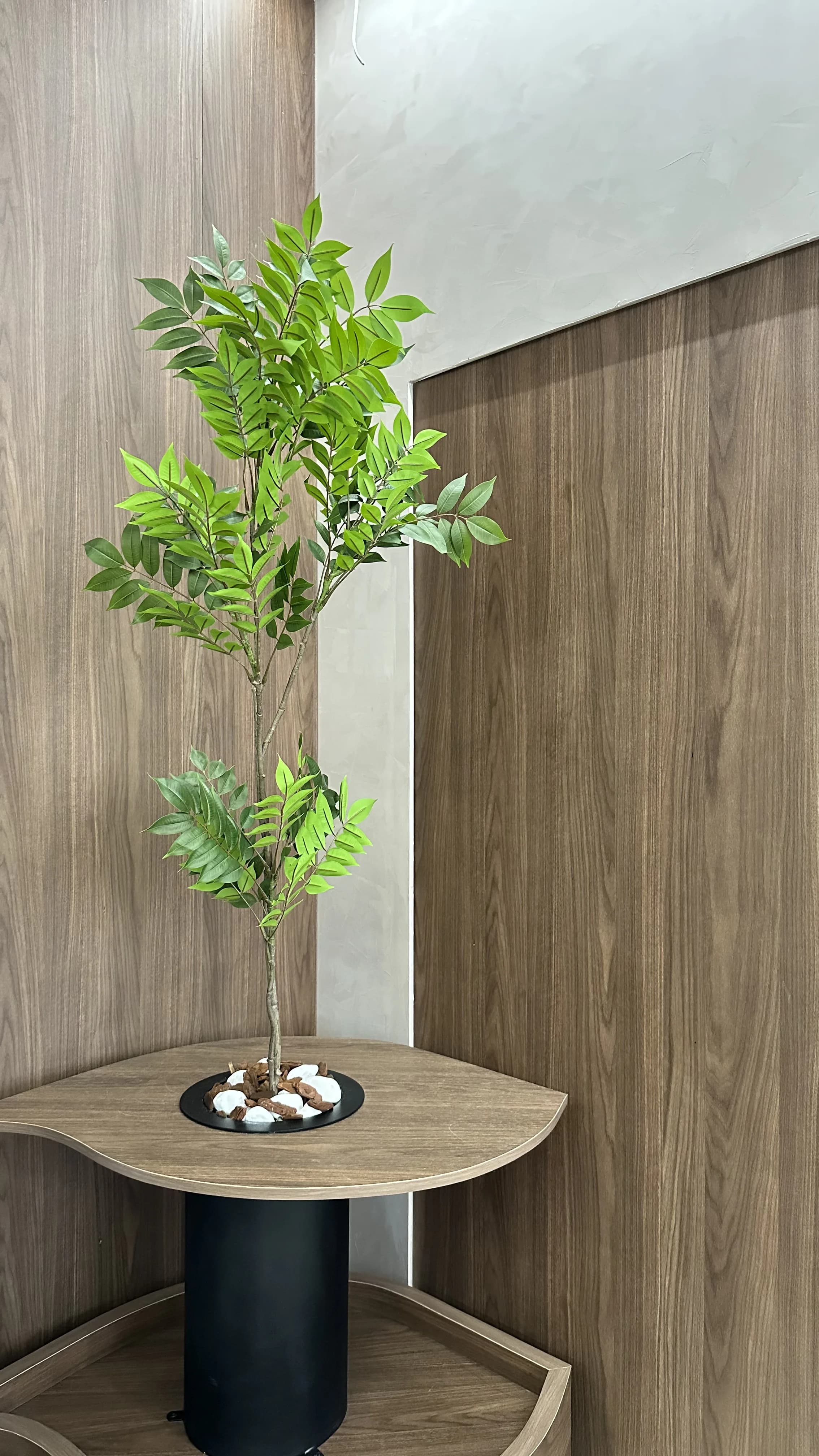 I.S com bancada em madeira e espelho arqueado